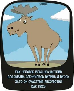 Анекдоты лось