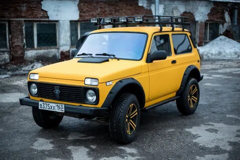 Фото цветов нивы
