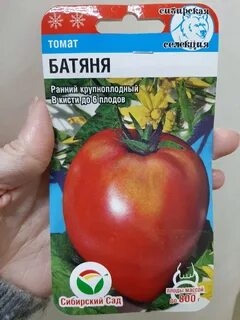 Характеристика томата батяня описание и отзывы