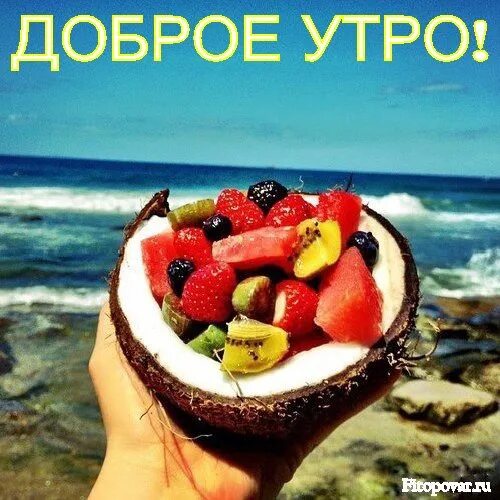 Арбуз на фоне моря. Манго на бали. Лучшие фрукты для морских ивентов. Манго фрукт тайланд. Тарелка с фруктами у моря.