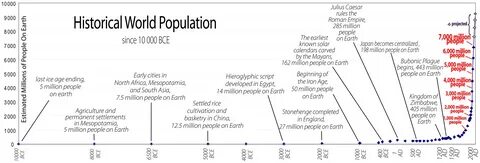 World population review