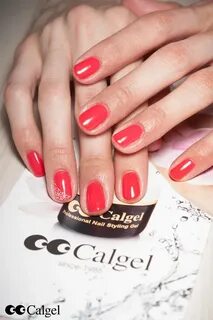 Calgel