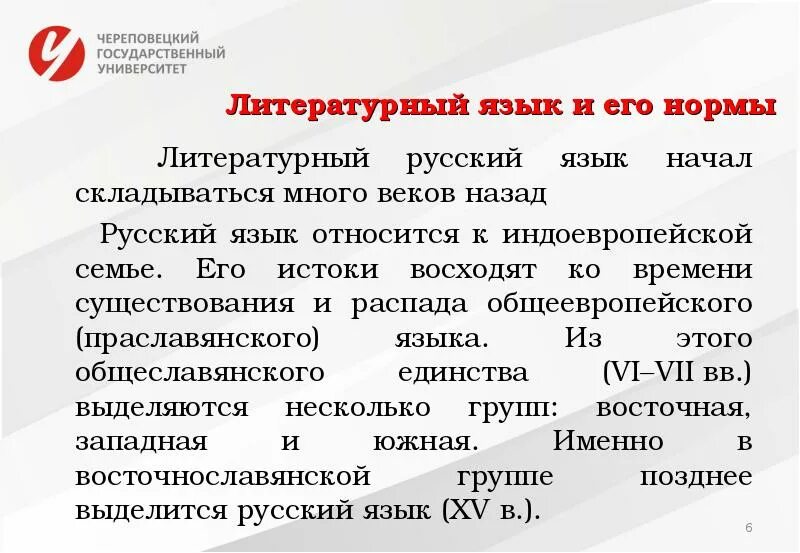 Литературный язык и его нормы. Языковая норма. Терминологические нормы это. Формы языка литературный язык. Литературный язык и его нормы.