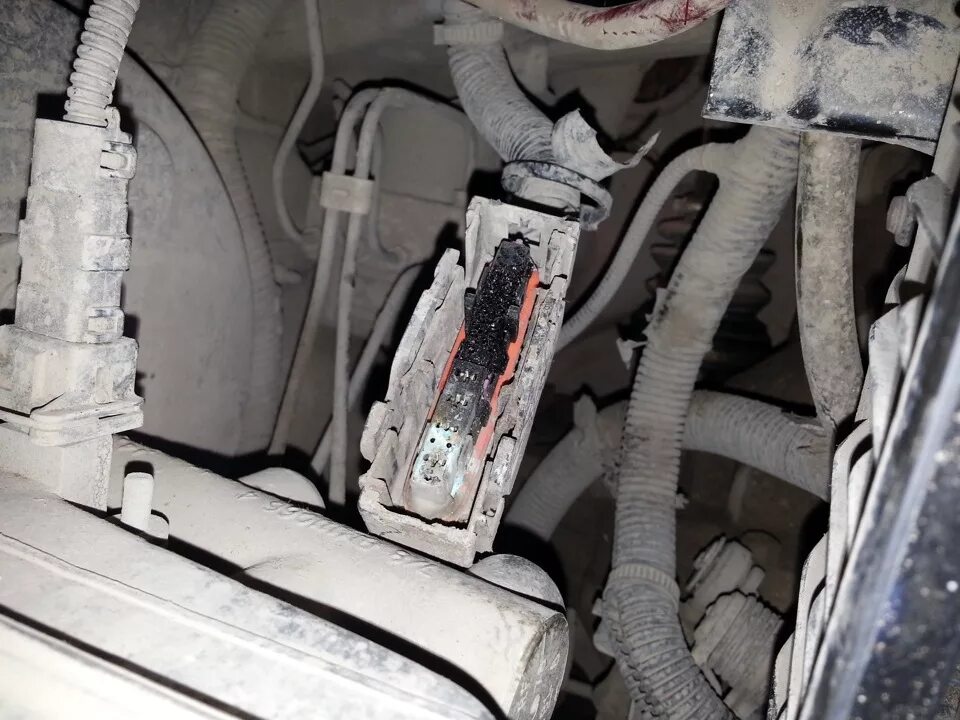 Разъём сигнала hyundai getz. Хендай гетц разъема. Фишки хендай гетц. Штекер для хендай гетц. Разъём стеклоподъёмника хендай акцент.