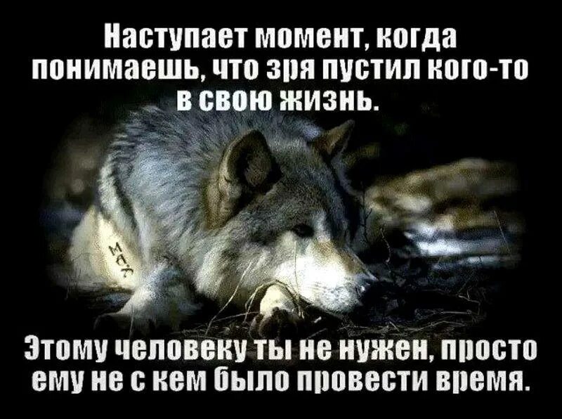 Количестве его просто быть. Когда ты нужен. Когда ты нужен цитаты. Нужен тогда когда нужен. Я никого не пущу в свою жизнь.