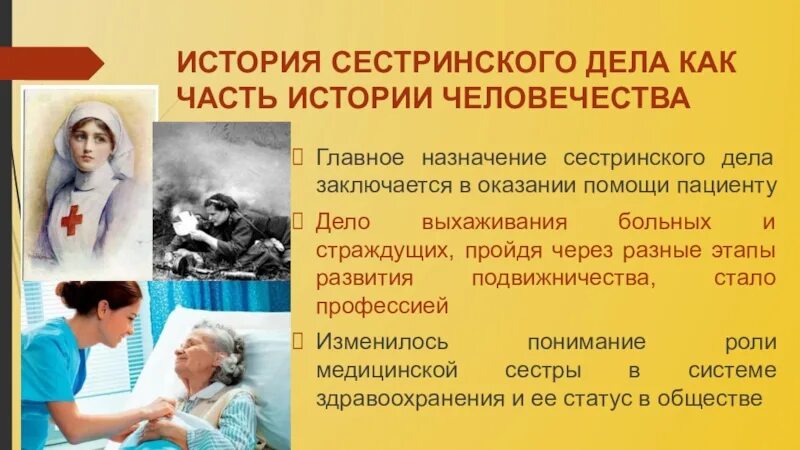 Развития сестринской деятельности