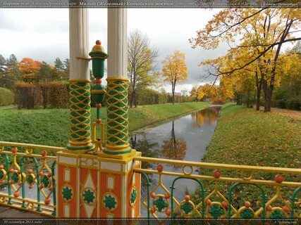 Царское село чаща