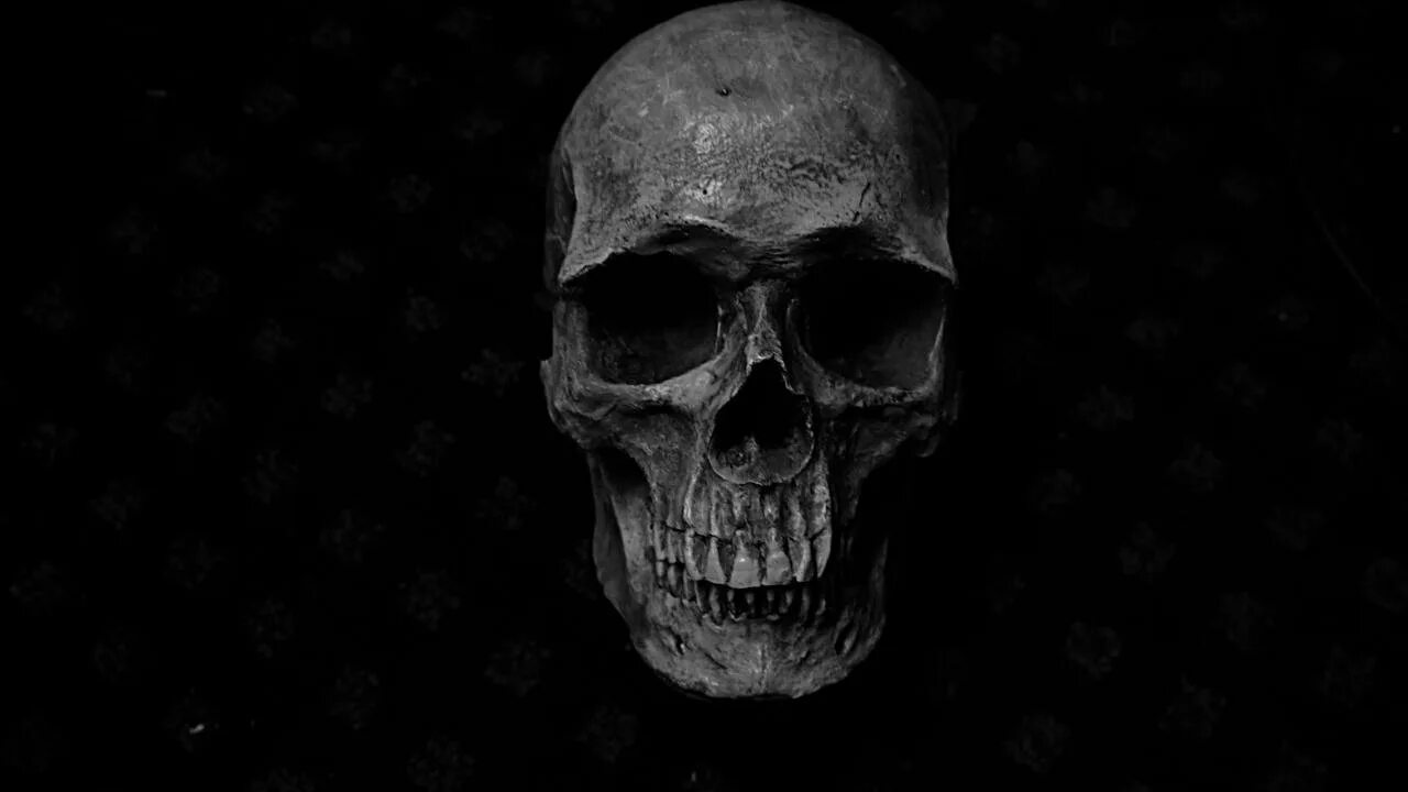 Череп скрыть. Черный череп. череп на черном фоне. череп на темном фоне.