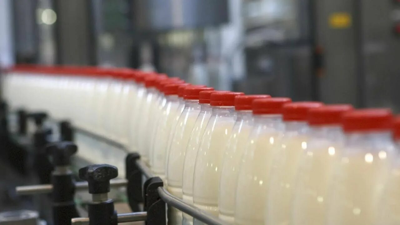 Пищевая промышленность молоко. Молочная промышленность. Производители молочной продукции. Пищевая промышленность молокозавод. Производство отечественной продукции