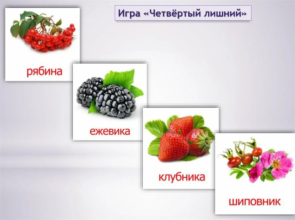 Ягоды для презентации. Четвертый лишний на тему ягоды. Ягоды для дошкольников. Найди лишнее ягоды. Найди ягодка