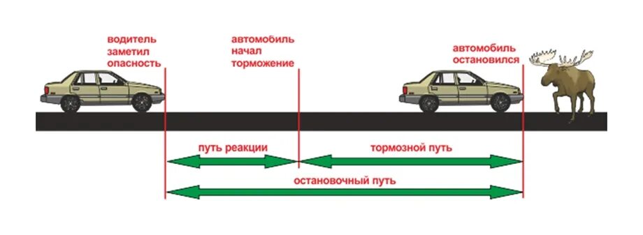 Реакция водителя это. Время реакции тормозной и остановочный пути автомобиля. Схема остановочного пути автомобиля. Остановочный путь тормозной путь и реакция водителя. Остановочный и тормозной путь схема.