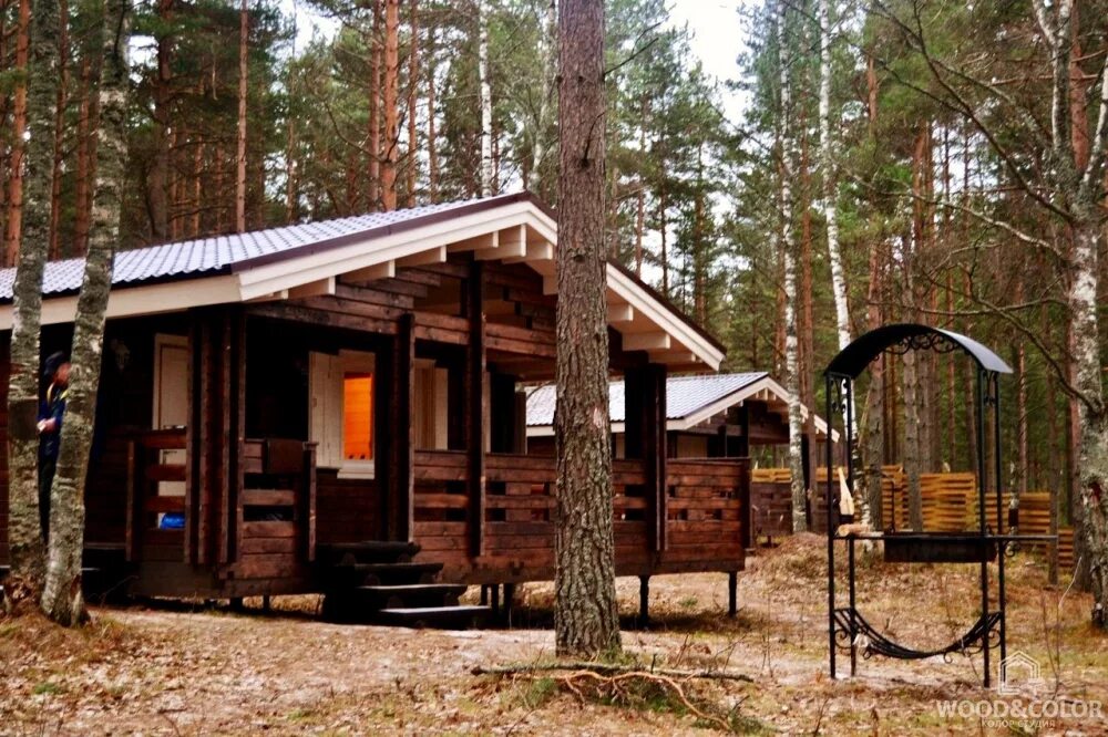 золотой берег база отдыха приозерский. золотой берег ладога база отдыха. база отдыха золотой берег терло абхазия. золотой берег ладога база отдыха. турбаза золотой берег.