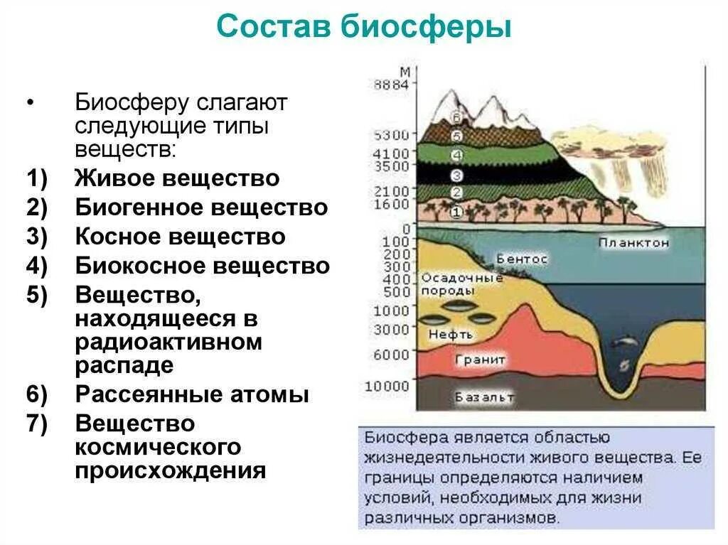 Вещества образующие биосферу