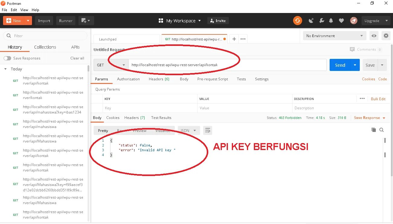 How to get openai api key. API ключ. Как выглядит API ключ. API Key localhost. Передача API Key.