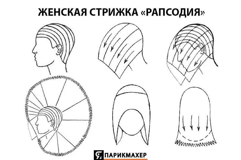 Технология стрижки рапсодия схема. Стрижка рапсодия технология выполнения. Стрижка рапсодия технология выполнения и схема. Стрижка рапсодия на средние волосы схема стрижки. Стрижки на средние волосы схема