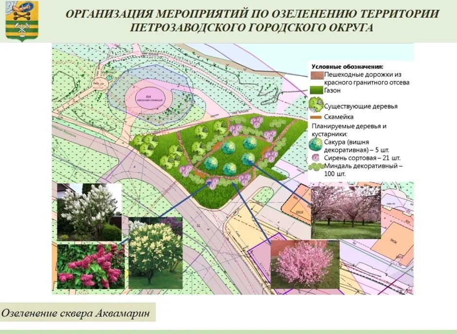 Программа озеленения города. Озеленение Карелии. Побережный парк Петрозаводска. План благоустройства парка Сосенки Нагорная.