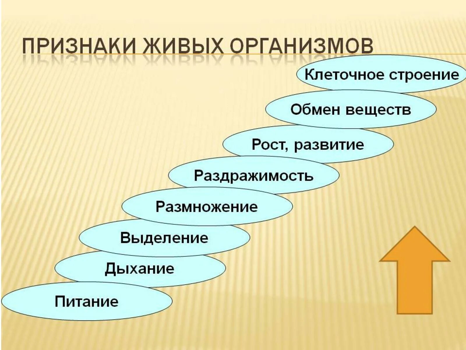 Жизненные свойства организмов