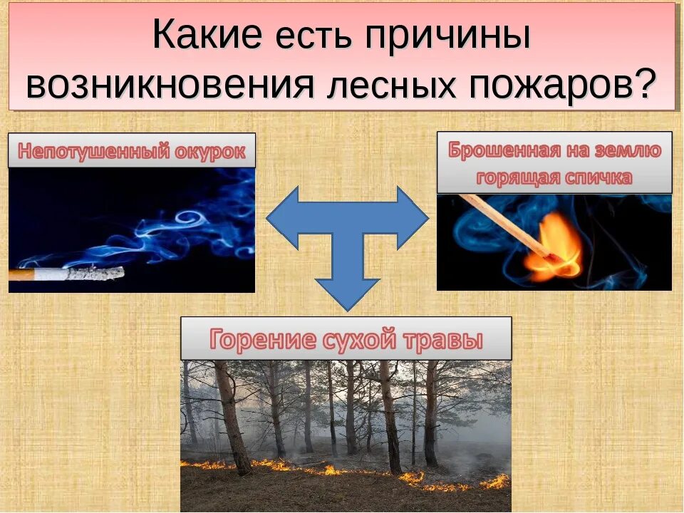 Пожар в лесу какой фактор. Причины возникновения лесов пожаров. Причины возникновения пожаров в лесу. Причины возгорания лесов. Факторы возникновения лесных пожаров.