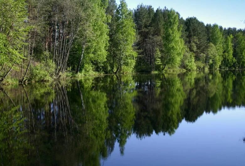 Река выя качканар. Река выя. Река выя свердловская область. Река выя. Река выя свердловская область.