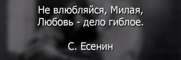 Влюбленный не судят майот. Влюбленный не судят майот. Волшебник страны оз цитаты из книги. Влюбленный не судят майот. Влюбленный не судят майот.