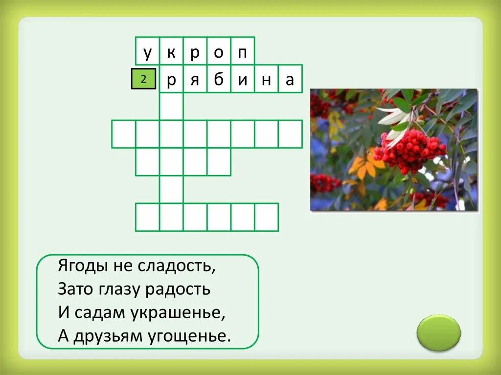 Кроссворд на тему растительные сообщества. Кроссворд лекарственные растения. Кроссворд на тему лекарственные растения. Кроссворд растения. Кроссворд по лекарственным растениям.