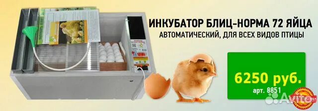 Инкубация яиц в инкубаторе блиц норма 72