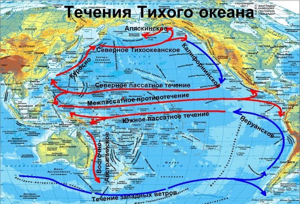 Все холодные течения. Северное пассатное течение на карте мира. Южно пассатное течение на карте мира. Тихий океан на карте. Течение Куросио на карте мира.