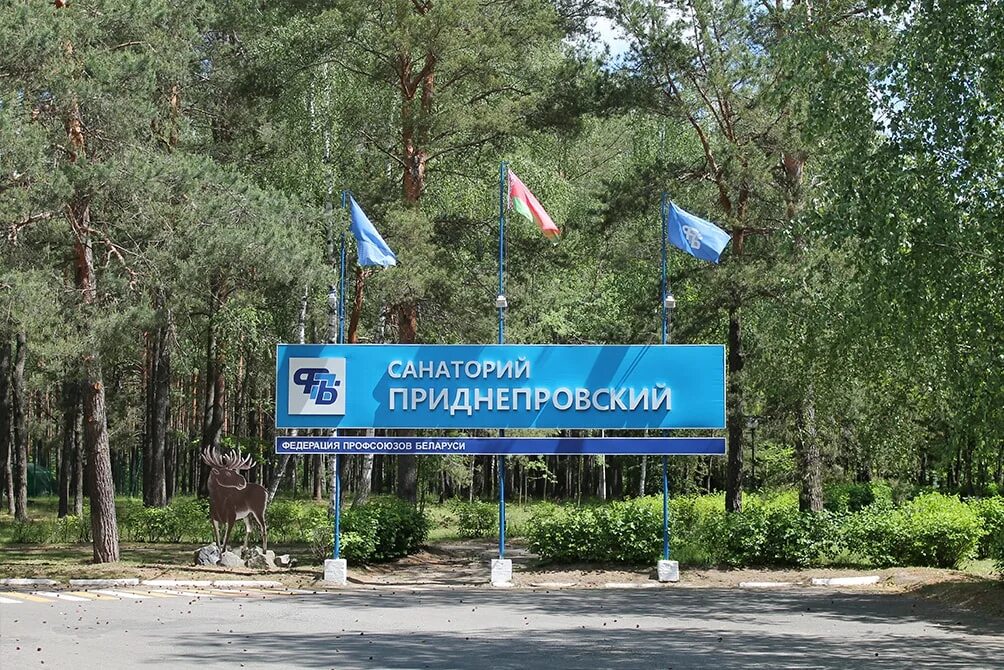 Приднепровский санаторий бассейн. Приднепровский санаторий бассейн. Рогачев санаторий приднепровский. Приднепровский беларусь. Санаторий приднепровский гомельская область.
