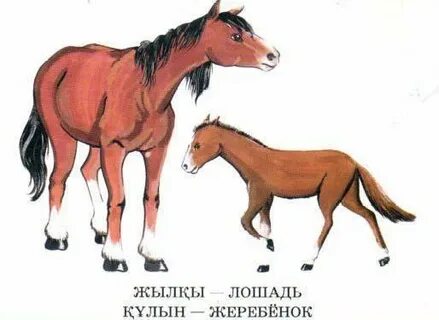 Порно секс ресейлік жетілген аналармен