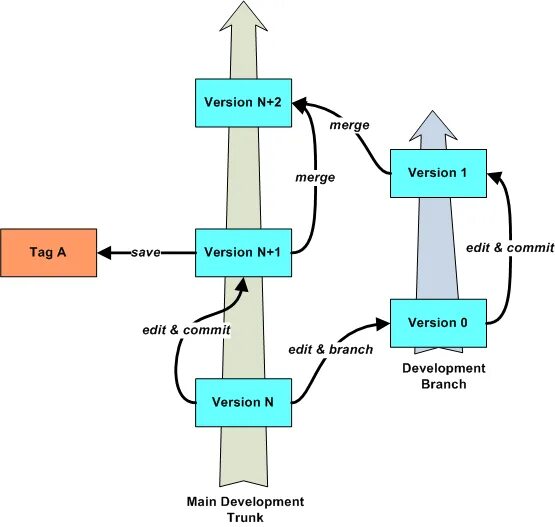 Trunk development. Svn merge. trunk branch merge. take source branch version.