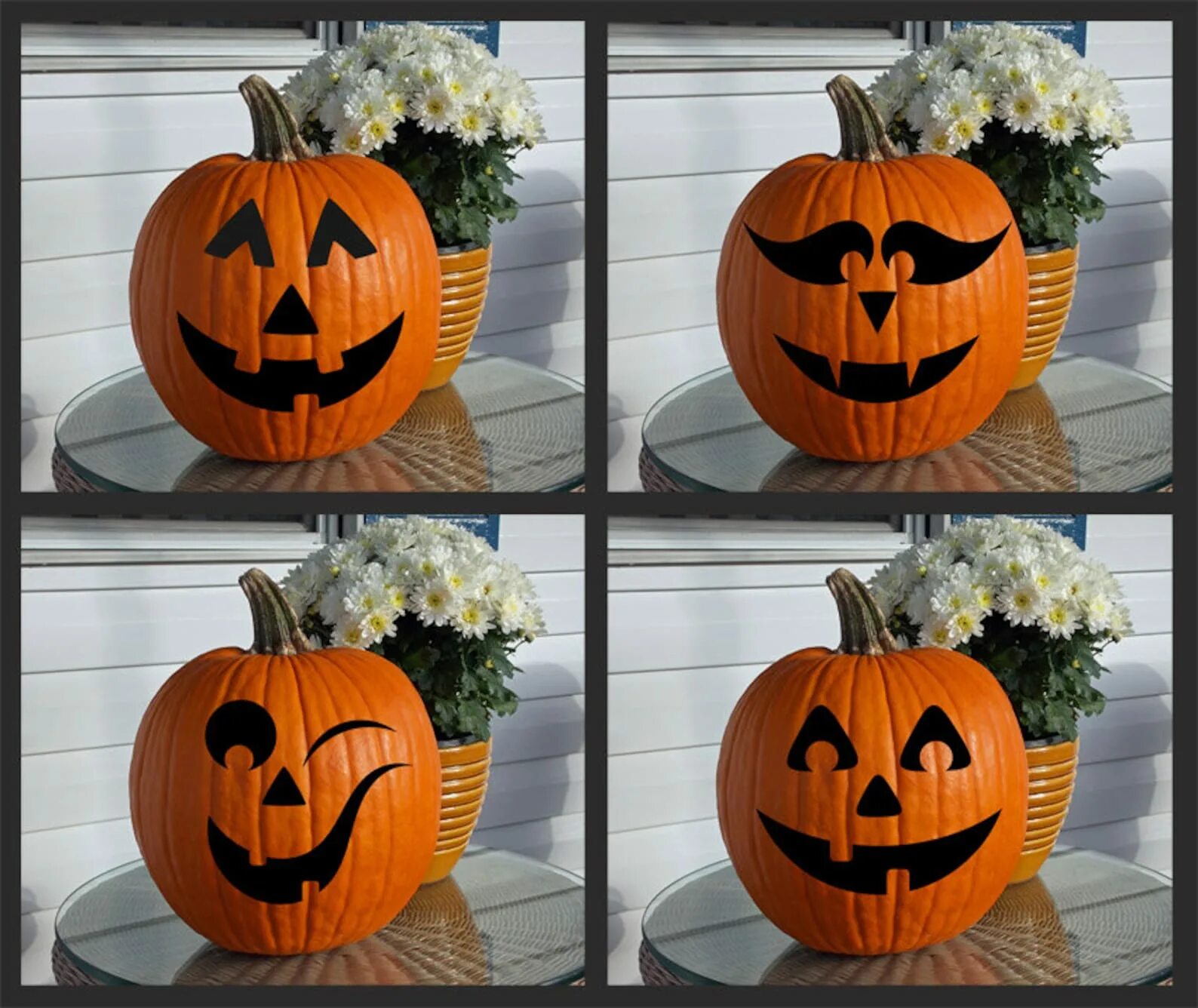 Украсить тыкву. Тыквы на хэллоуин раскрашенные. Тыква хэллоуин. Разрисованные тыквы. Декор тыквы к хэллоуину.