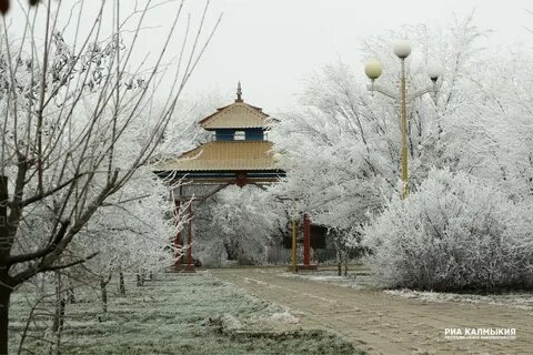 Погода в калмыкии в ноябре