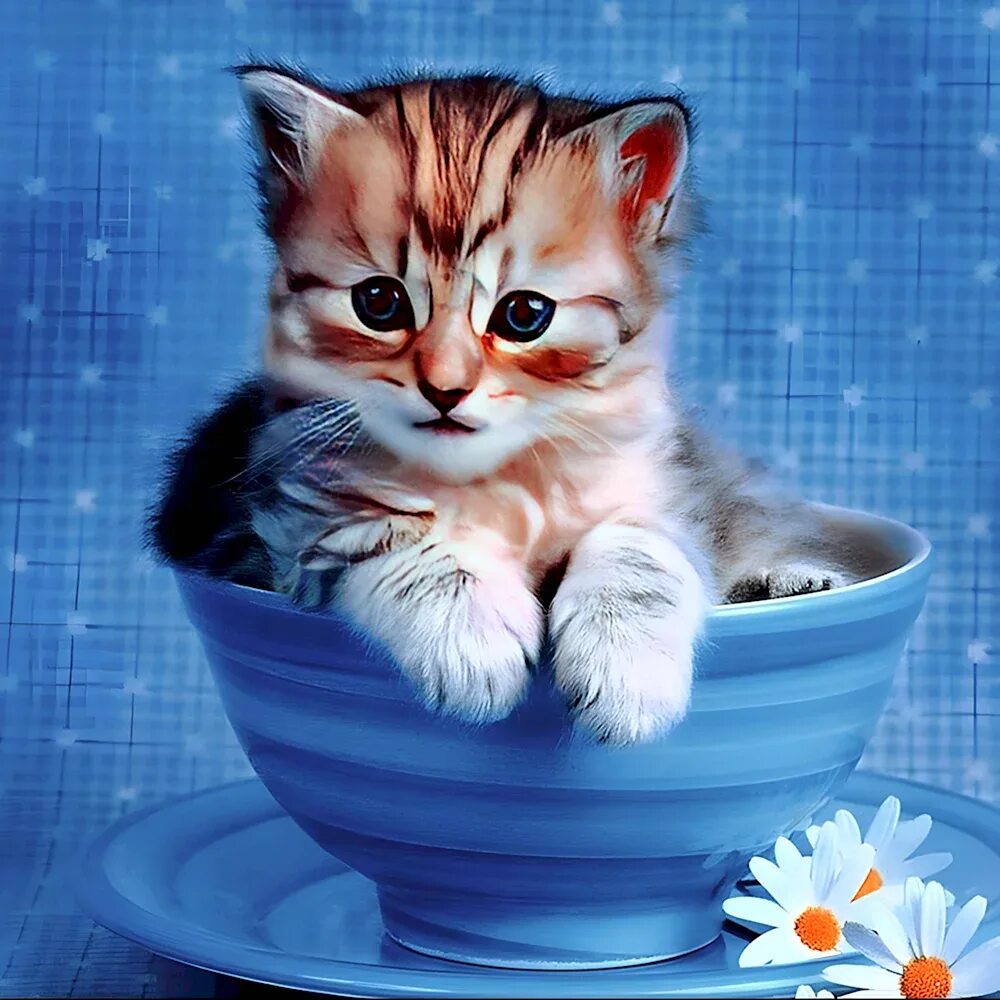 Картинки с пожеланием доброго утра с котиком