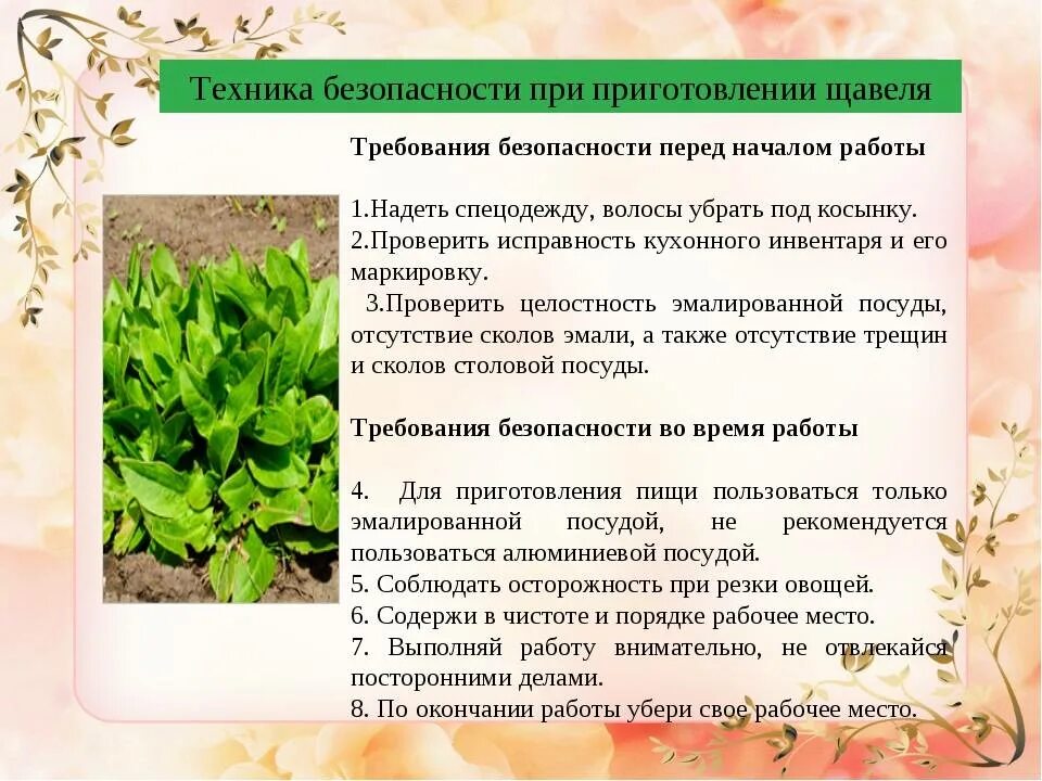 Анализ содержания текста собирая щавель. Щавель. чем полезен щавель. чем полезен щавель для организма. сообщение о щавеле.