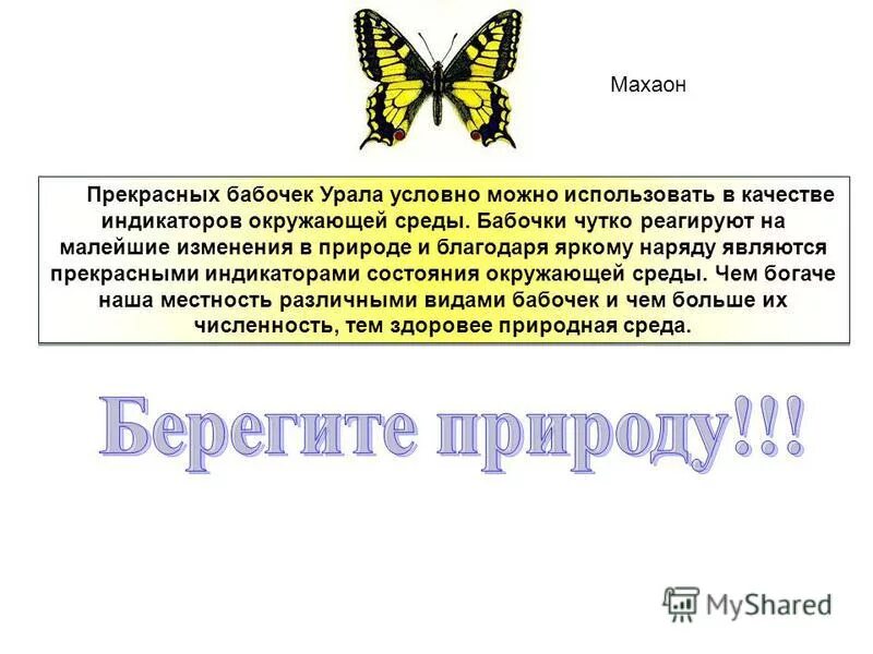 День изучения бабочки. Интересные факты о бабочках. Интересные факты о бабочках для детей. Исследовательская работа бабочки. Изучение бабочек.