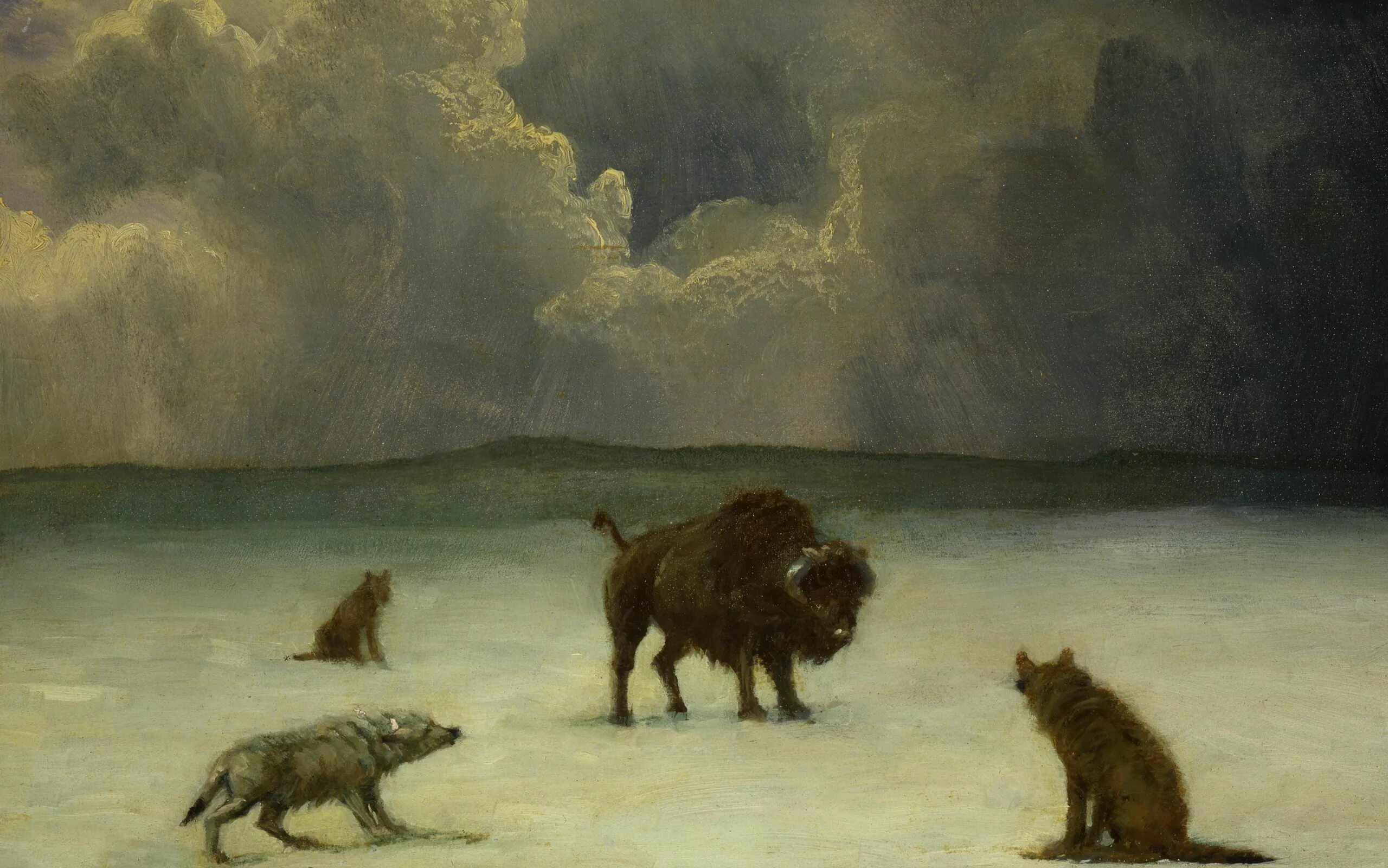 Albert Bierstadt (American, 1830-1902). Бизон картина. Волк в живописи русских художников. Волка бизон