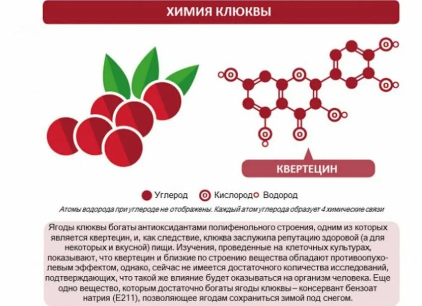 Химическая формула клюквы. Чем полезна клюква. Клюква характеристики целебные. Лекарственные вещества в клюкве.