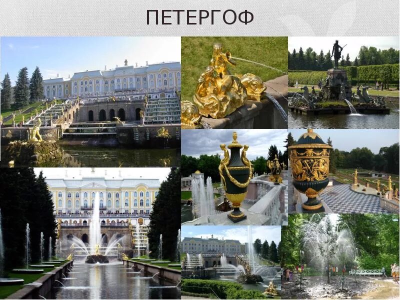 Петергоф сообщение. Петергоф сообщение