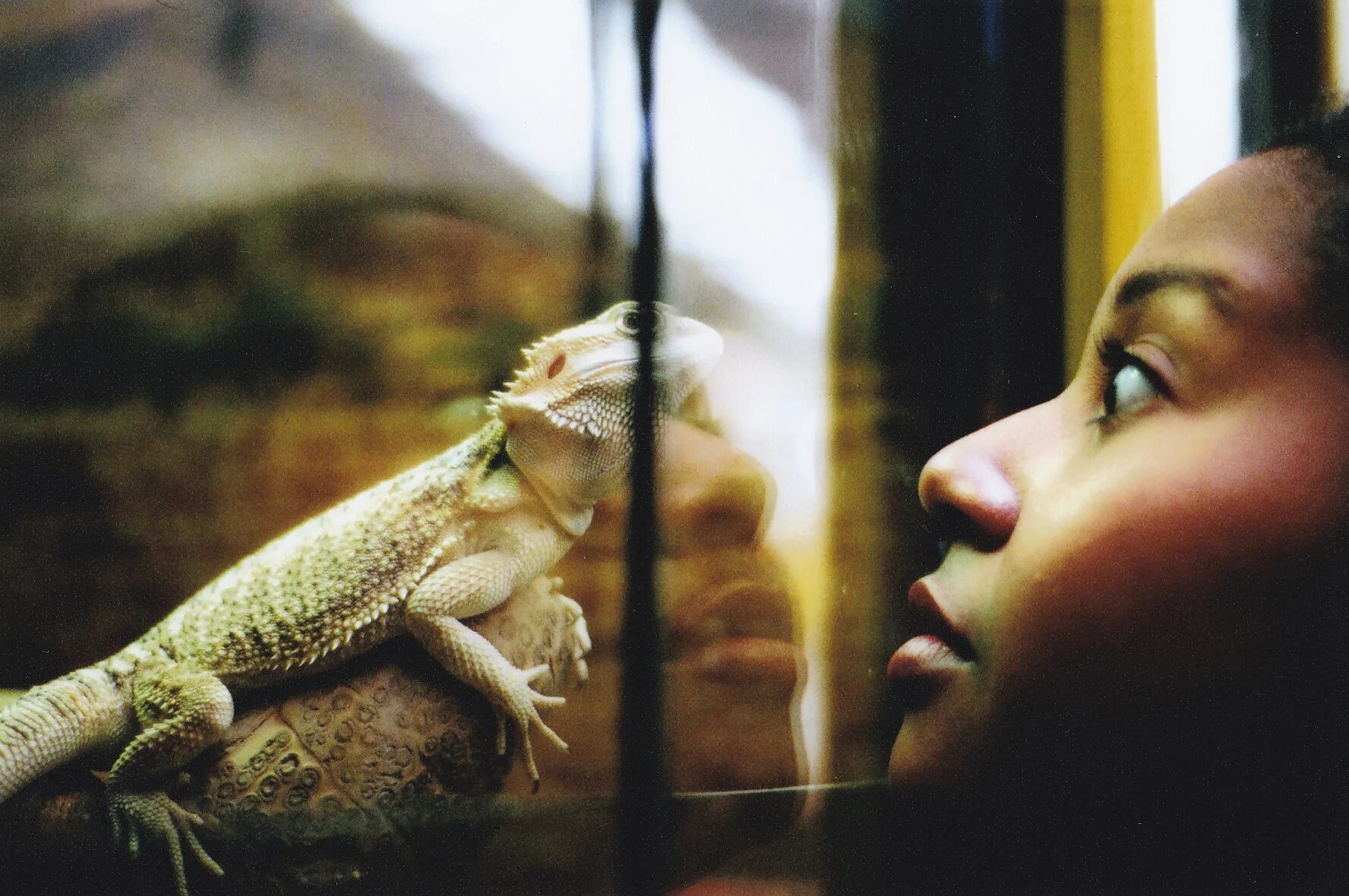 Reptile girl. Девочка рептилия.