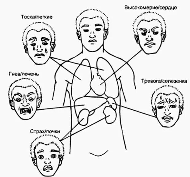 Человек испытывает чувства примеры Pin on Психология Book writing tips, Writing a book, Writing tips