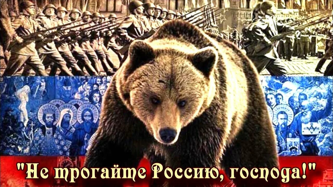 Аудиокнига русский медведь. Медведь. Аудиокнига русский медведь. Ланцов десантник на престол 2 книга. Группа русский медведь.