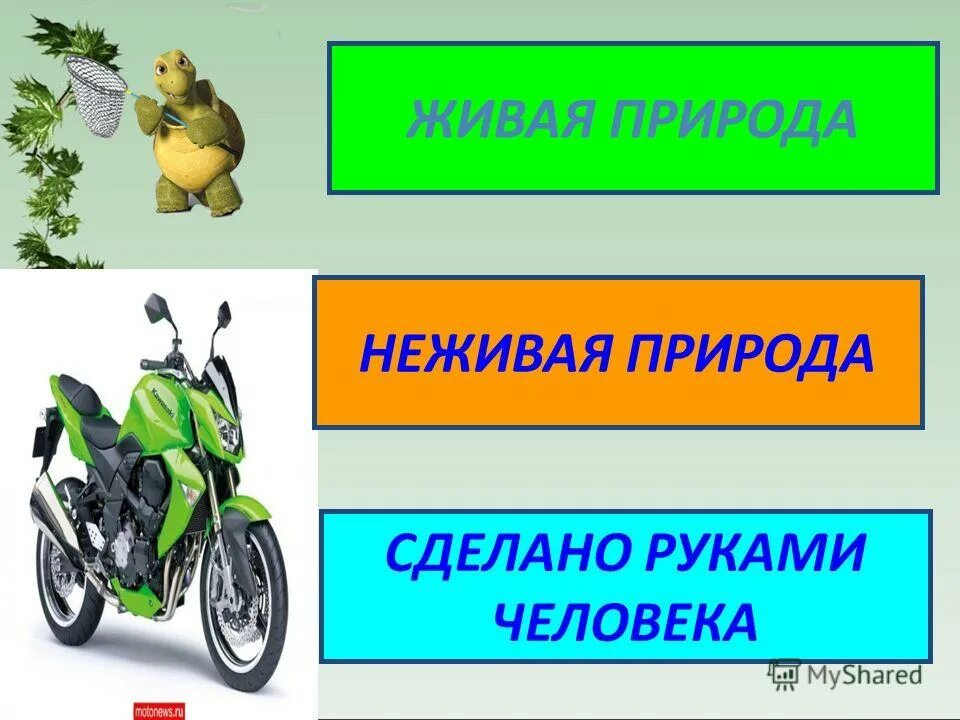 Примеры объектов созданные человеком. Живая и неживая природа. Презентация на тему Живая и нре Живая природа. Жива и неживая природа и созданная руками человека. Живая природа руками человека.