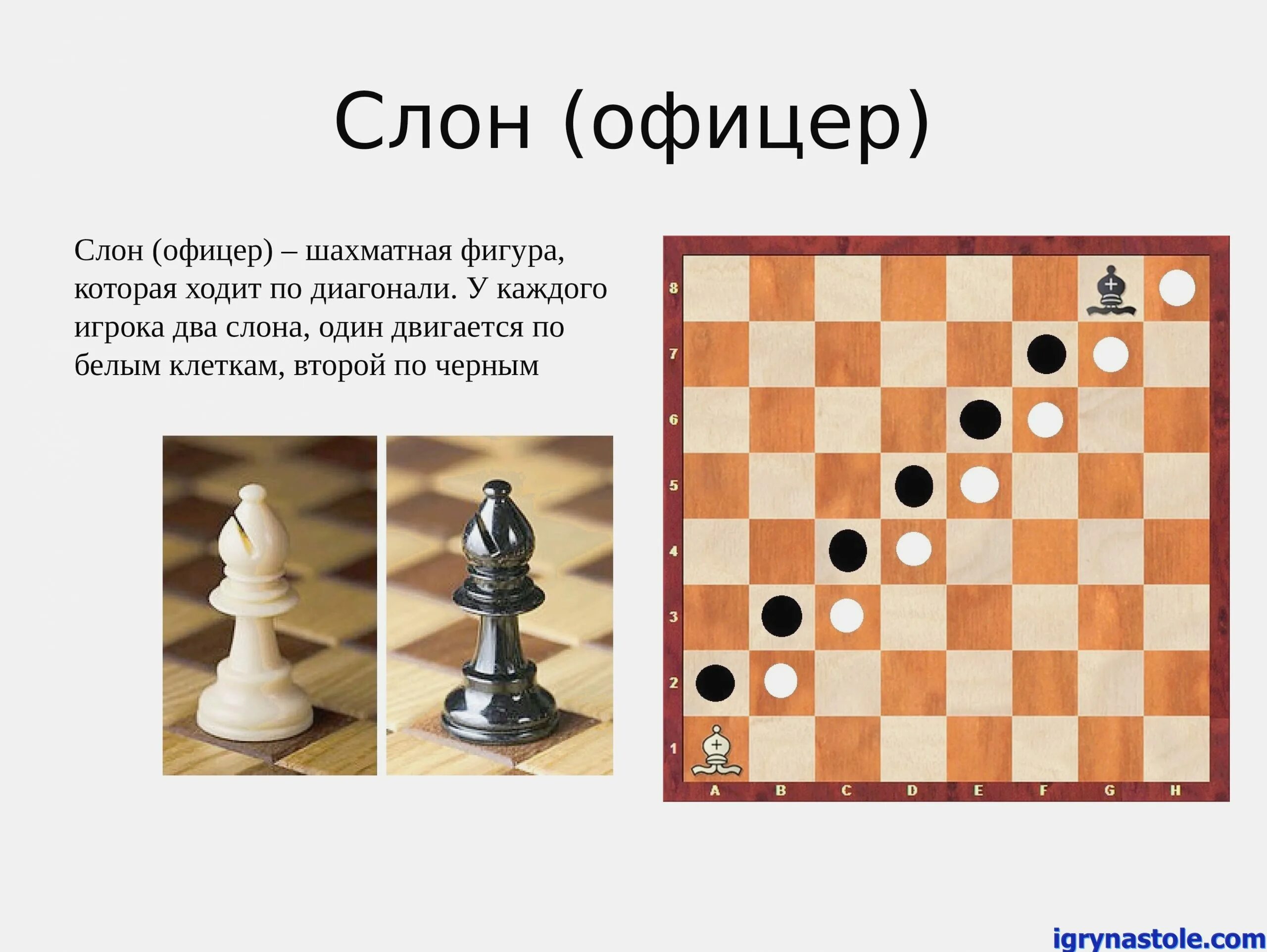 Слон офицер шахматы
