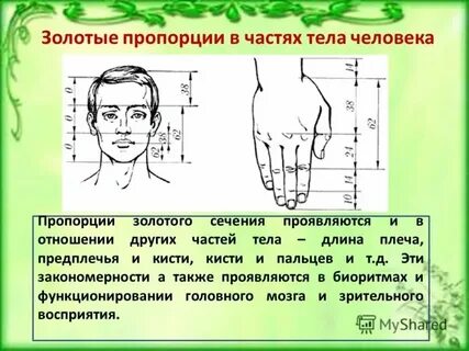 Задачи на отношения и пропорции