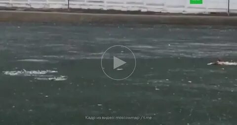 Мальчик утонул в сормовском парке