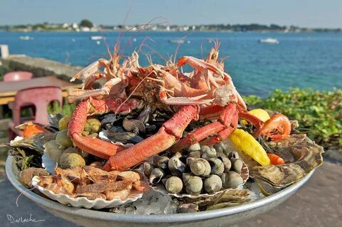 Дон морепродукт