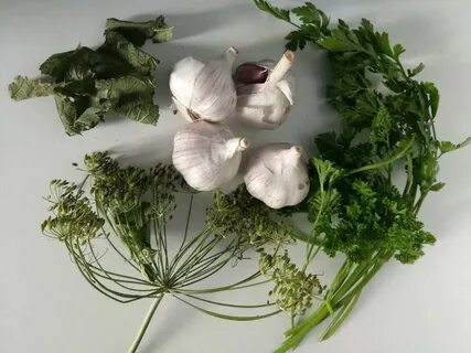 Укроп с чесноком