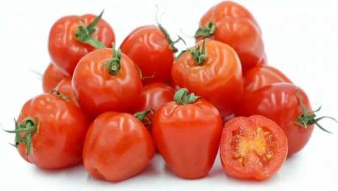 Сибирский скороспелый томат семена сибири. Помидоры фирмы. Низкорослые томаты сибирской селекции. Томат сибирский детерминантное. Томат демидов (1г) (весовые).