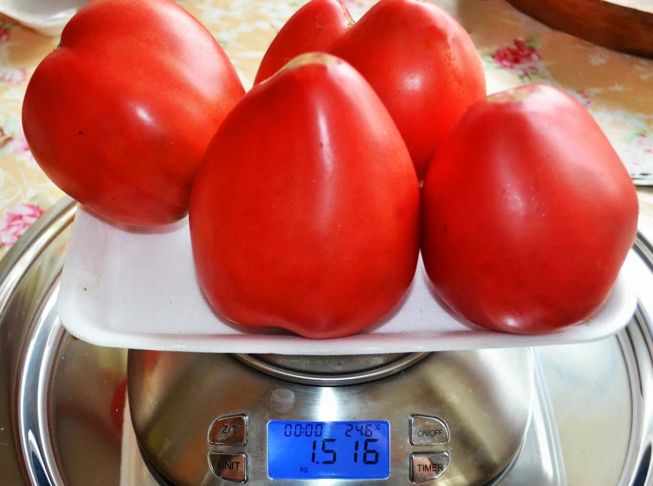 Томат красномордина семена. Томат красномордина сиб сад. Томат сибирский сибсад. Томат красномордина описание. Томат красномордина.