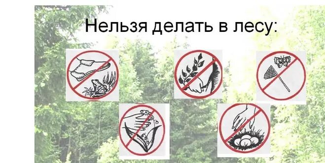 Знаки защиты леса. Правило рлвидение в лесу. Знаки защиты природы для детей. Правила поведения в лесу. Что запрещено делать в лесу.